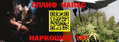 дживик Тара