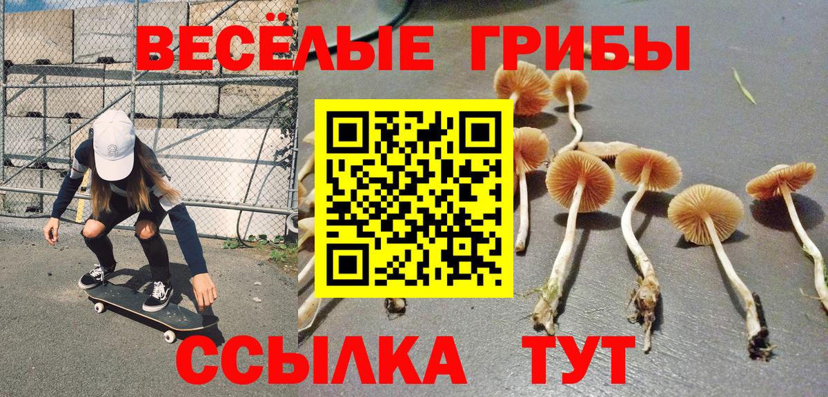 Галлюциногенные грибы мицелий  Вход с VPN  Феодосия 
